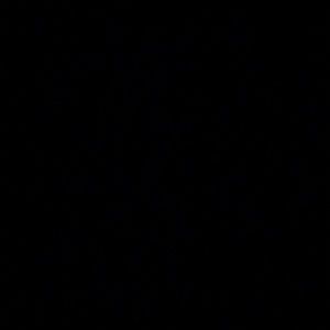 Meet your Posher, Jeanynne